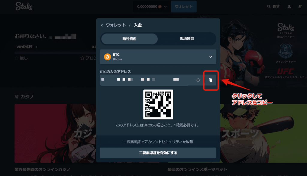 ステークカジノBTCの入力アドレス間違いの画面