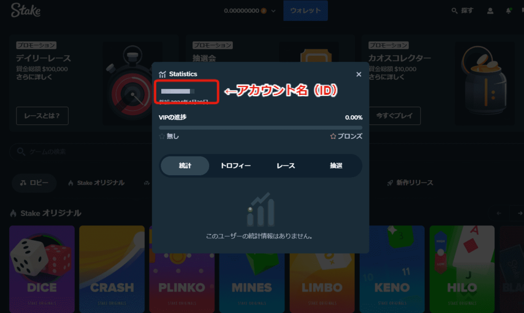 ステークカジノIDの確認画面